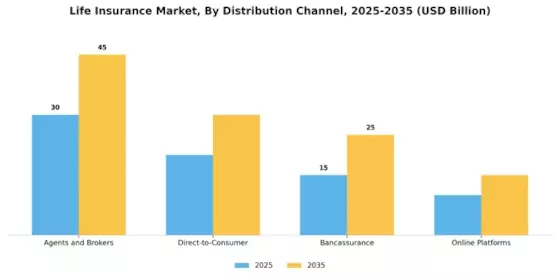 Life Insurance Market Segment Image 1