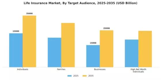 Life Insurance Market Segment Image 3