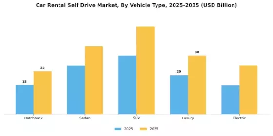 Car Rental Self Drive Market Segment Image 0