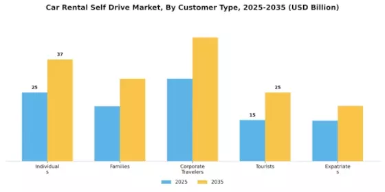 Car Rental Self Drive Market Segment Image 4