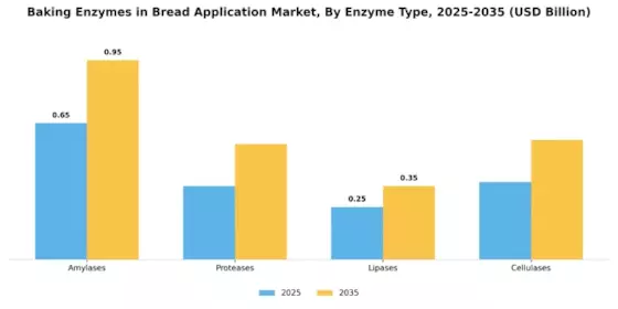 Baking Enzymes in Bread Application Market Segment Image 1