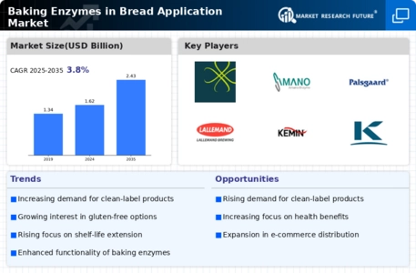 Baking Enzymes in Bread Application Market Infographic