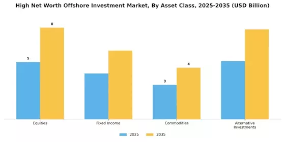 High Net Worth Offshore Investment Market Segment Image 1