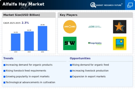 Alfalfa Hay Market Infographic
