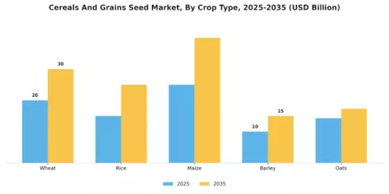 Cereals Grains Seed Market Segment Image 0
