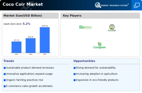 Coco Coir Market Infographic