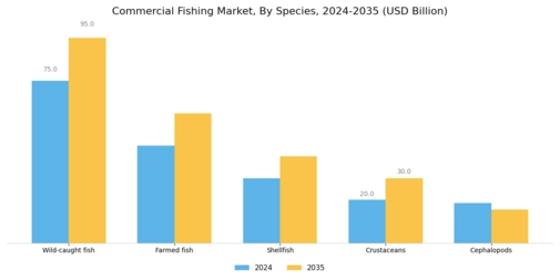Commercial Fishing Market Segment Image 1