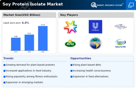 Soy Protein Isolate Market Infographic