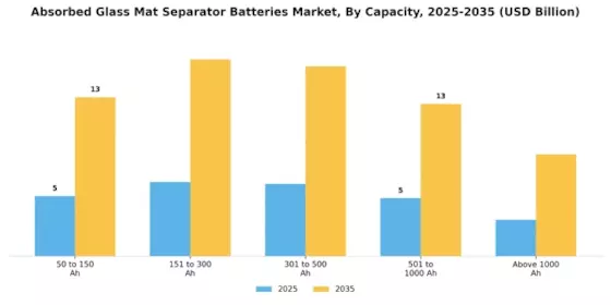 Absorbed Glass Mat Separator Batteries Market Segment Image 0