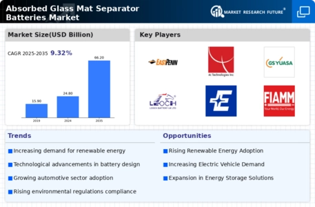Absorbed Glass Mat Separator Batteries Market Infographic