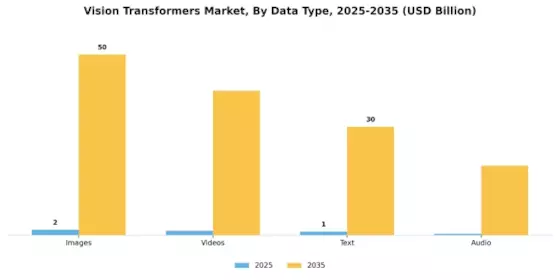 Vision Transformers Market Segment Image 3