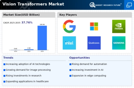 Vision Transformers Market Infographic