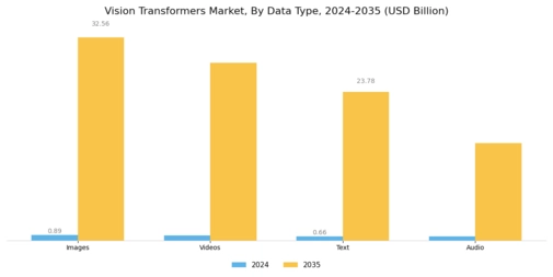 Vision Transformers Market Segment Image 3