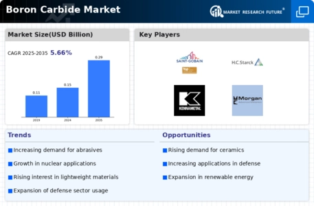 Boron Carbide Market Infographic