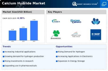 Calcium Hydride Market Infographic