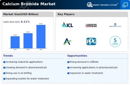 Calcium Bromide Market Infographic