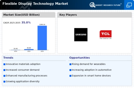 Flexible Display Technology Market Infographic