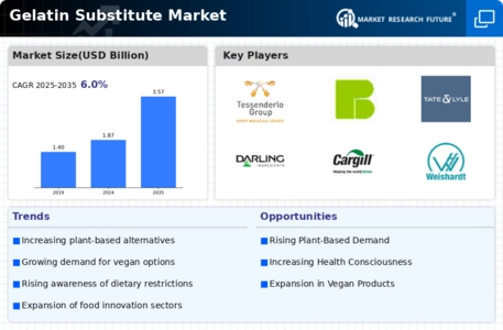 Gelatin Substitute Market Infographic