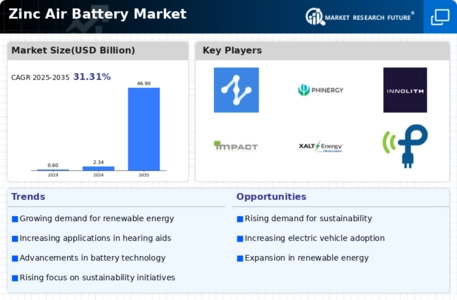 Zinc Air Battery Market Infographic