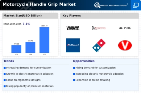 Motorcycle Handle Grip Market Infographic