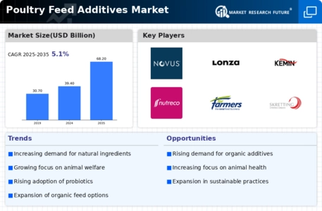 Poultry Feed Additives Market Infographic