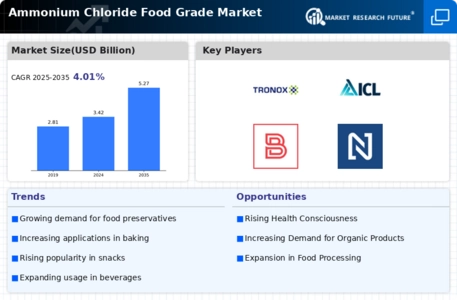 Ammonium Chloride Food Grade Market Infographic