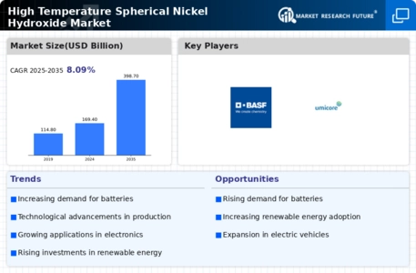 High Temperature Spherical Nickel Hydroxide Market Infographic