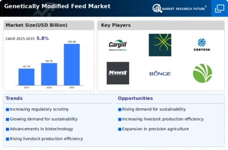 Genetically Modified Feed Market Infographic