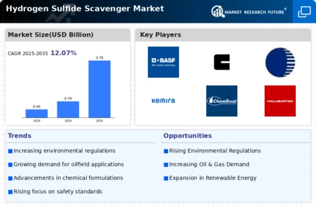 Hydrogen Sulfide Scavenger Market Infographic