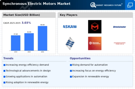Synchronous Electric Motors Market Infographic