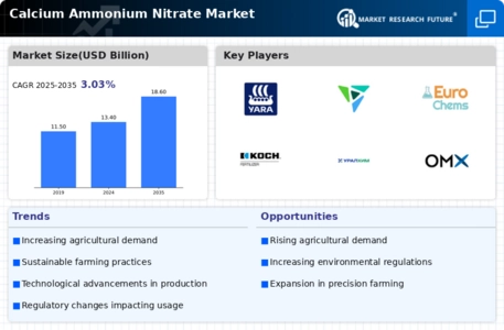 Calcium Ammonium Nitrate Market Infographic