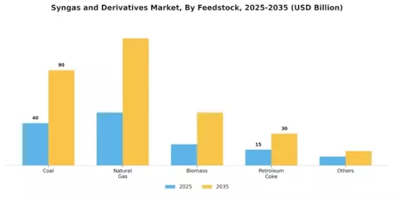 Syngas Derivatives Market Segment Image 0