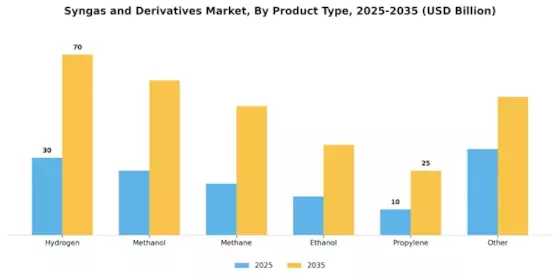 Syngas Derivatives Market Segment Image 1