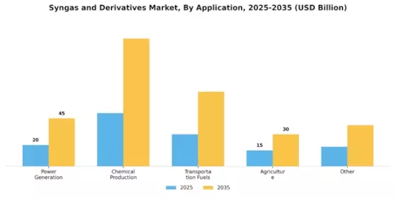 Syngas Derivatives Market Segment Image 2