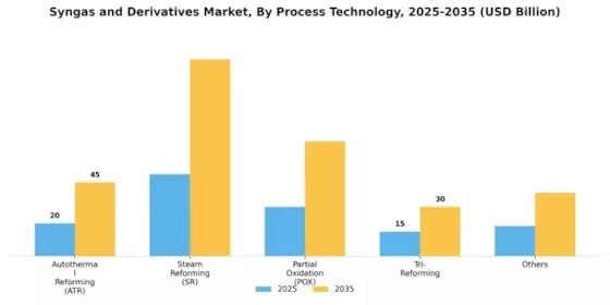 Syngas Derivatives Market Segment Image 3
