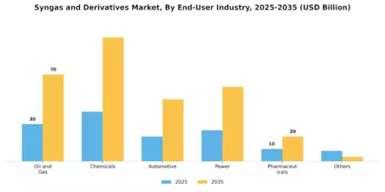 Syngas Derivatives Market Segment Image 4