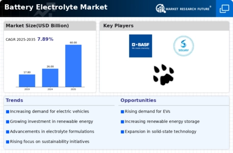 Battery Electrolyte Market Infographic