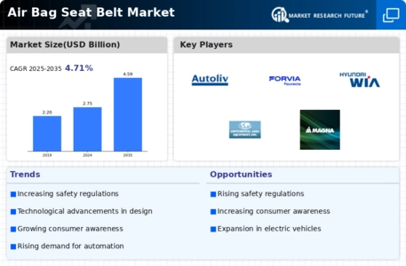 Air Bag Seat Belt Market Infographic