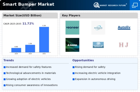 Smart Bumper Market Infographic