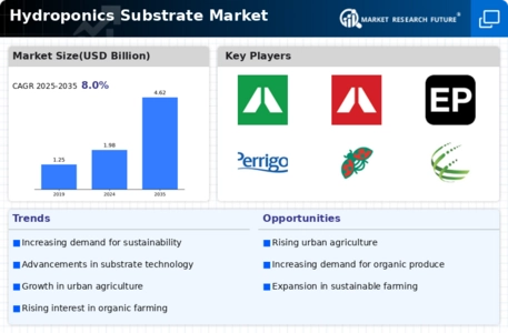 Hydroponics Substrate Market Infographic