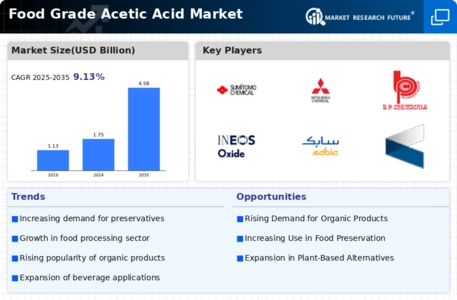 Food Grade Acetic Acid Market Infographic