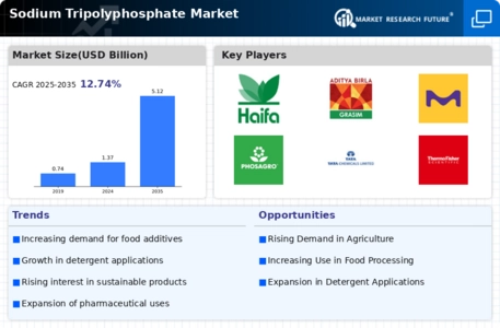 Sodium Tripolyphosphate Market Infographic