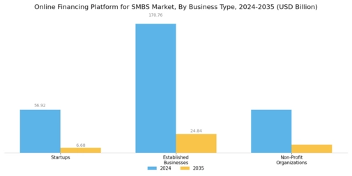 Online Financing Platform for SMBS Market Segment Image 1
