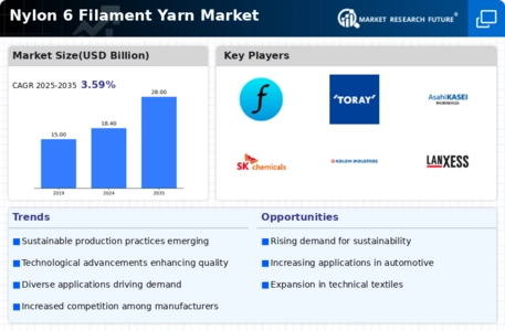  Nylon 6 Filament Yarn Market Infographic