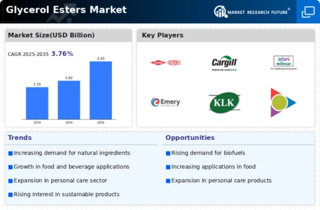 Glycerol Esters Market Infographic