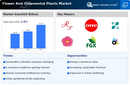 Flower And Ornamental Plants Market Infographic