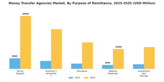 Money Transfer Agencies Market Segment Image 1