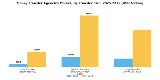 Money Transfer Agencies Market Segment Image 2