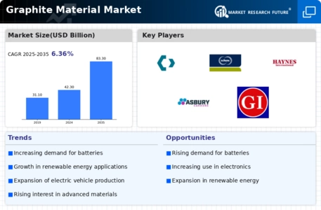 Graphite Material Market Infographic