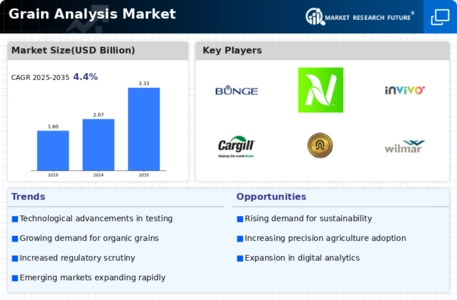 Grain Analysis Market  Infographic